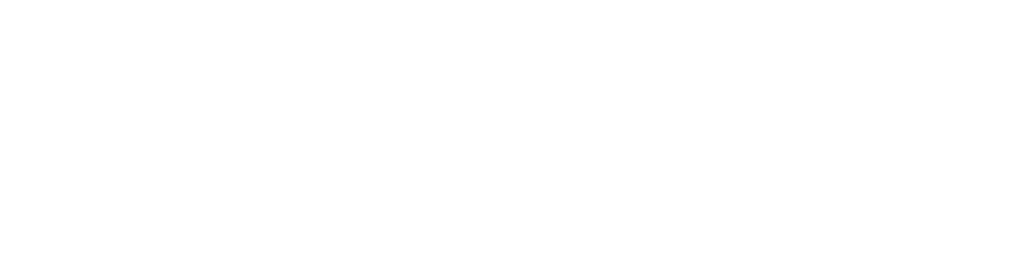 PhoenixPay Business Solutions
